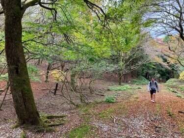 道南の自然を歩く 道南の自然を歩く: 地質あんない | 地学団体研究会道南班 |本 | 通販