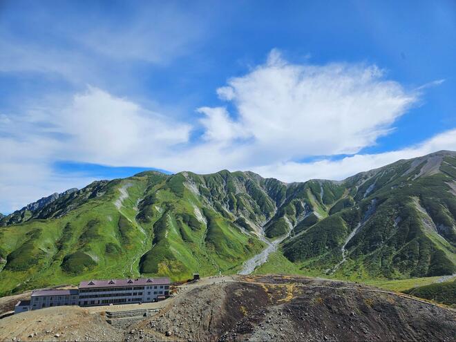 秋の山景色や高山植物を堪能する「立山・室堂」ゆったり1泊旅！  日帰りにはない充実感「散策路ハイキング＆夕温泉と朝の絶景」レポートの画像008
