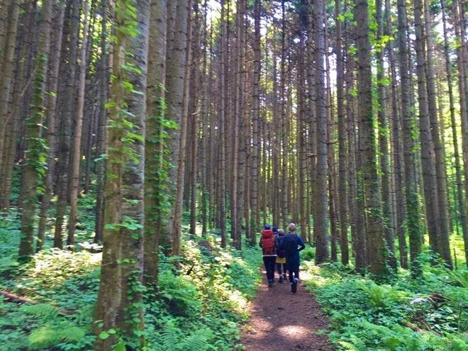なんて読む？  北海道【風不死岳】知られざる由来と「山頂から湖を望む絶景」の画像002