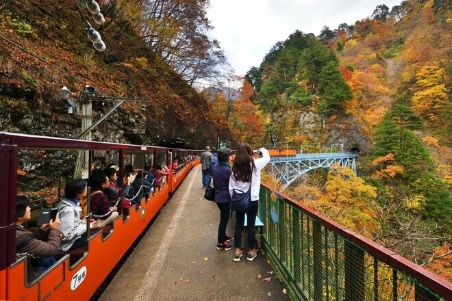 「黒部峡谷 トロッコ電車」 日本一険しい峡谷を車窓から満喫 手つかずの秘境の秋景色の中へ【紅葉フォトトレッキングガイド vol.7】富山県・黒部エリアの画像002