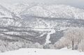 日本が世界に誇るスノートリップタウン【札幌の魅力】大都会と山が共存する奇跡の街は「美食＆スキー天国」の画像016