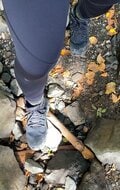 【秋シーズン到来】蓼科山で小さい秋見つけた！ スマホ片手に軽快なトレッキングを楽しもう  長野県・2022年の画像004