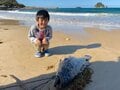海まで0分で ”限定5サイトのみ” 日本海の断崖に「巨大高級魚を拾えるキャンプ場」があったの画像001