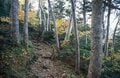 10月初旬「北アルプス紅葉」は蓮華温泉から白馬大池まででもOK！  登山デビューの頃におすすめされたコース「錦秋の登山道＆野天風呂」レポの画像002