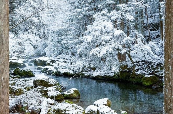 「理想のサウナ郷、ついに待望のオープン目前」 プレオープンの1年を振り返る＜秋・冬編＞【ユーコンカワイのシン・サウナ村建設記 vol.13】の画像008