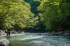 渓流釣り