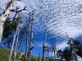 【夏がくれば思い出す】山小屋一年目にコロナで休業「あの時、私たちは」【わたし、山小屋はじめます vol.50】の画像003