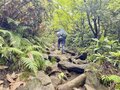 「チングルマの綿毛」が揺れる日本百名山・西吾妻山へ【日帰り登山レポート】〈福島県〉2022年の画像001