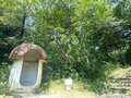 ＜残暑にオススメな“低山の早朝ハイキング”コースPart2＞“涼めるポイント”も豊富な「サクっとモーニングトレイル」私市（きさいち）編【里山アドベンチャー！ソトアソ日和 vol.6】の画像017