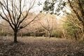 石の城と思いきや土の城だった！「安芸国・頭崎城〈後編〉」　最後に待ちうけていた驚異の “巨壁” に本気を見る（広島県東広島市）【戦国の山城を攻める vol.08】の画像008