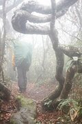 秘境！ 絶景！ ここだけは行きたい！【紅葉の山歩き ベスト3】信越 後編「信越トレイル・雨飾山・妙高山」の画像001
