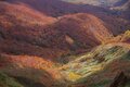 【今週登山予定の方、ちょっと待った！】本州一色づきが早い「栗駒山」の最新紅葉状況速報＜2023年9月末＞の画像003