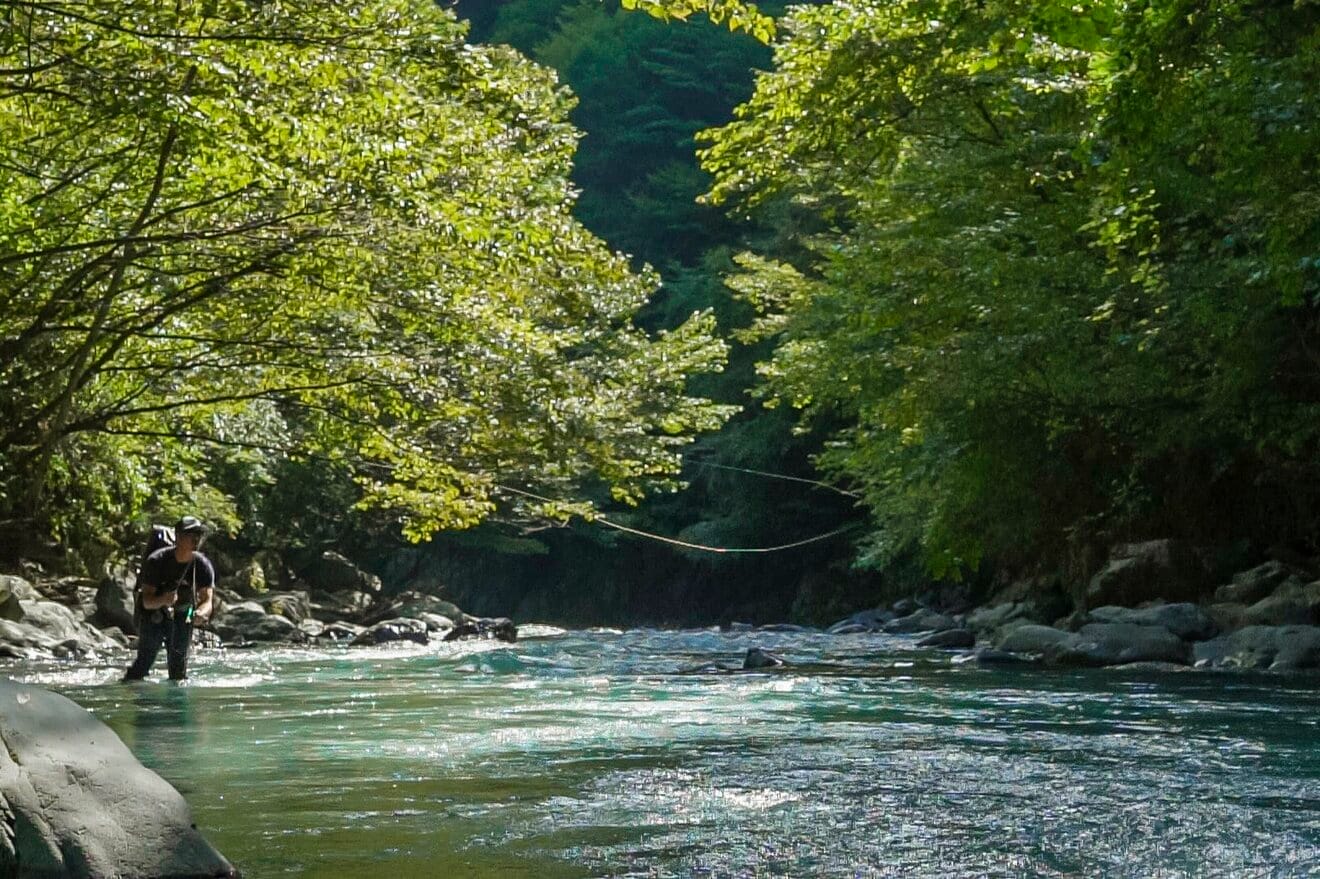 【渓流釣り】 「秋色に染まる鬼の形相!」 日本のチロル・秘境で狙う遠山の鬼アマゴ 長野県南信濃|アクティビティ|レポート|BRAVO MOUNTAIN