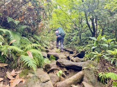 チングルマの綿毛」が揺れる日本百名山・西吾妻山へ【日帰り登山