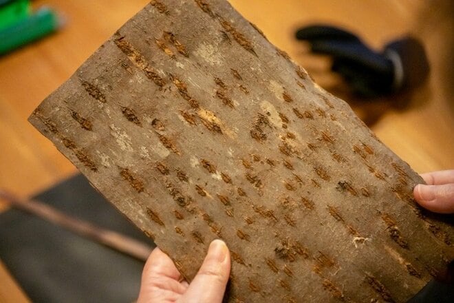 蒸しつ蒸されつの蒸熱関係。伏流水が引き出す “水のサ飯” とは【ユーコンカワイのシン・サウナ村建設記 vol.9】の画像003