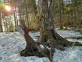 【登山】待っていました林道開通！ 「眼前に広がる槍・穂高の大パノラマ」 残雪の北アルプス・蝶ヶ岳山行ルポ〈長野県〉2024年の画像001