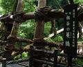 【日本の秘境】徳島県「祖谷・大歩危」の絶景！  ディープで険しい峡谷の地「かずら橋・ひの字渓谷・小便小僧」断崖＆奇岩「現地レポ」の画像006