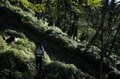 奥秩父の隠れ人気スポット「笠取山」激坂を回避＆混雑なしでアプローチできる「裏口ハイキングルート」教えますの画像003