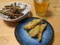 「揚げたてキス天が食べたい！」100均ダイソー「総額1760円ルアーロッド」使用「釣りキャリア2か月初心者」の「サーフ投げ釣り」チャレンジレポの画像003