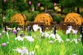 梅雨空の絶景！  東京23区に咲く花菖蒲の4名所「堀切菖蒲園」「水元公園」「小岩菖蒲園」「しょうぶ沼公園」で江戸の風流を感じる【東京都・葛飾区/江戸川区/足立区】の画像013