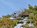 【2ヵ月限定】黒部立山のそびえ立つ雪の壁！ 「雪の大谷」を楽しむ！ ＜富山県＞2022年の画像005