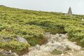 ライチョウ観察は登山道沿いがベスト！ 白馬乗鞍岳・小蓮華山のライチョウ調査へ＜長野県＞の画像005