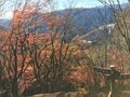 【首都圏近郊】11月は足腰の神様と紅葉が待つ人気日帰り低山「伊豆ヶ岳」への画像016