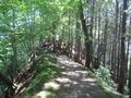 日本屈指のパワースポット！  埼玉・秩父「三峯神社」と妙法ヶ岳「奥宮」に参拝登山【ルポ】の画像003