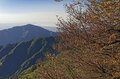 この秋に行きたい！ 至極の紅葉登山【最終回】今が見ごろ、まだ間に合う関東近郊の「浅間山・丹沢山・大菩薩嶺」の画像006