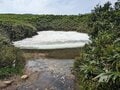 まさに高山植物の宝庫！  花の百名山「栗駒山」紅葉だけじゃない「初夏の魅力」フラワートレッキングの画像007