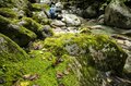 【渓流釣り】 透明な流れが不自然に歪んだかと思うと、まるで手品のようにイワナが姿を現しました「まるで水から生まれたかのよう！」 神秘的！ 天竜川水系の白いイワナ  長野県・2024年9月の画像001