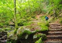 春から登山をはじめたい人のための「入門登山」におすすめ関東近郊「4つの日帰り山」【時間の目安3時間以内】