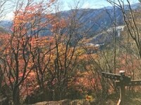 【首都圏近郊】11月は足腰の神様と紅葉が待つ人気日帰り低山「伊豆ヶ岳」へ
