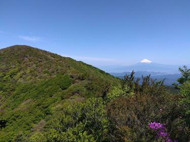 お花見登山」好きはハズせない！ 5月＆6月の「日本百名山・天城山