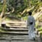 小崎 かえで