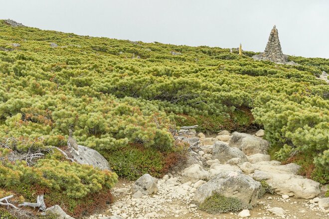 ライチョウ観察は登山道沿いがベスト！ 白馬乗鞍岳・小蓮華山のライチョウ調査へ＜長野県＞の画像005