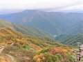 【2024年10月 第3週】今週末の紅葉の見ごろは？  名所＆人気スポットの最新情報をお届け「WEEKLY紅葉ニュース」の画像010