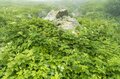 白馬大雪渓を登りきった先に待つ至極の山小屋！  大満足の “夕食バイキング” と “快適＆安心” が詰まった「白馬岳頂上宿舎」【長野県白馬村】の画像018