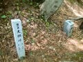 【親子旅】新潟と長野をつなぐ「塩の道」美しいブナ林で時の流れを感じたの画像001