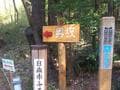春満開！  駅からハイキング「日和田山」 色鮮やか “桜・ヤマツツジ・シャガ” の彩り＆見晴らし満点の山頂絶景！  3時間半で一周ルート【埼玉県日高市】の画像004