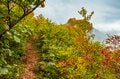 【登山】ピーク直前！ 紅葉人気の100名山、雨飾山「今年の彩りはいかに？」 長野県｜新潟県 2026年の画像007