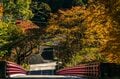 【松川渓谷】紅葉に彩られた赤い橋 “高井橋” から見る絶景！ 信州高山温泉郷・上信越国立公園 2022年の画像002