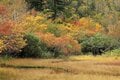 今週末の紅葉見るならどこ？  名所“人気スポット”から最新情報をお届け「WEEKLY紅葉ニュース」【2023年10月第1週】の画像002