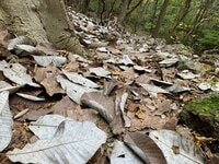 【山岳遭難しないために】秋登山に行く前のリマインド 「体感温度はすぐに氷点下！」 山梨県｜2026年