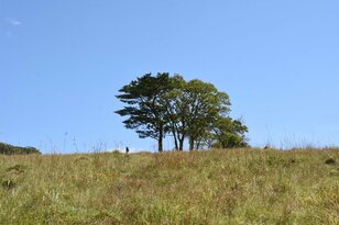 「ほぼ下るだけ」の「ラク珍」登山！ 穴場「マイナスイオン三滝」＆爽快「牧場」絶景の山！ 栃木県日光市「霧降大山」レポート