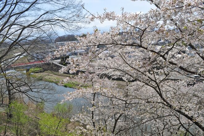 【春の信州でお花見散策】朱塗りの柱が目を引く空中楼閣！  圧巻の懸崖造り 難読「鼻顔稲荷神社」は桜の名所！  長野県佐久市・2024年の画像006