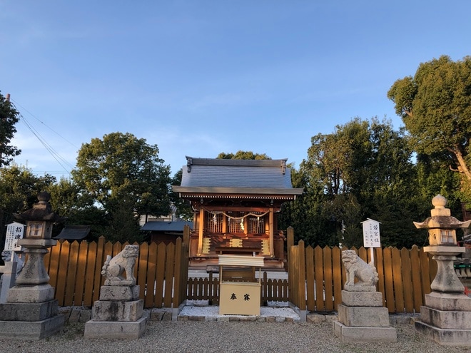 樹齢約800年！ 大迫力のクスノキ「百舌鳥八幡宮」夕暮れ時の美しさとゴルゴ13に背中を押され購入した千円の埴輪みくじの結果は！？【関西おみくじジャーニー vol.22／大阪府堺市】の画像003