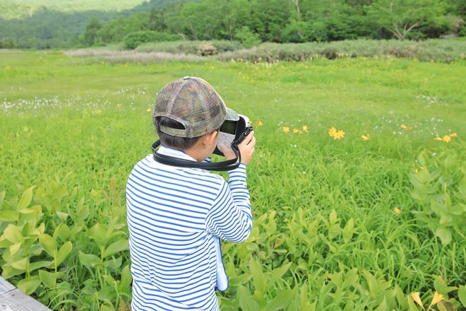 手軽にアクセス！  ファミリーで学べる北アルプスの「快適空間」＜長野県・栂池自然園＞の画像001