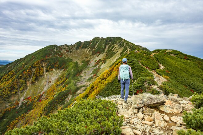 【登山】ここ数年で一番の美しさ「南アルプスの貴公子と女王の山岳紅葉」 日本の1-2-3位の高峰を望む  南アルプス・2025年の画像017