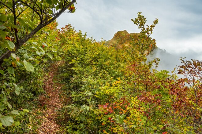 【登山】ピーク直前！ 紅葉人気の100名山、雨飾山「今年の彩りはいかに？」 長野県｜新潟県 2026年の画像007